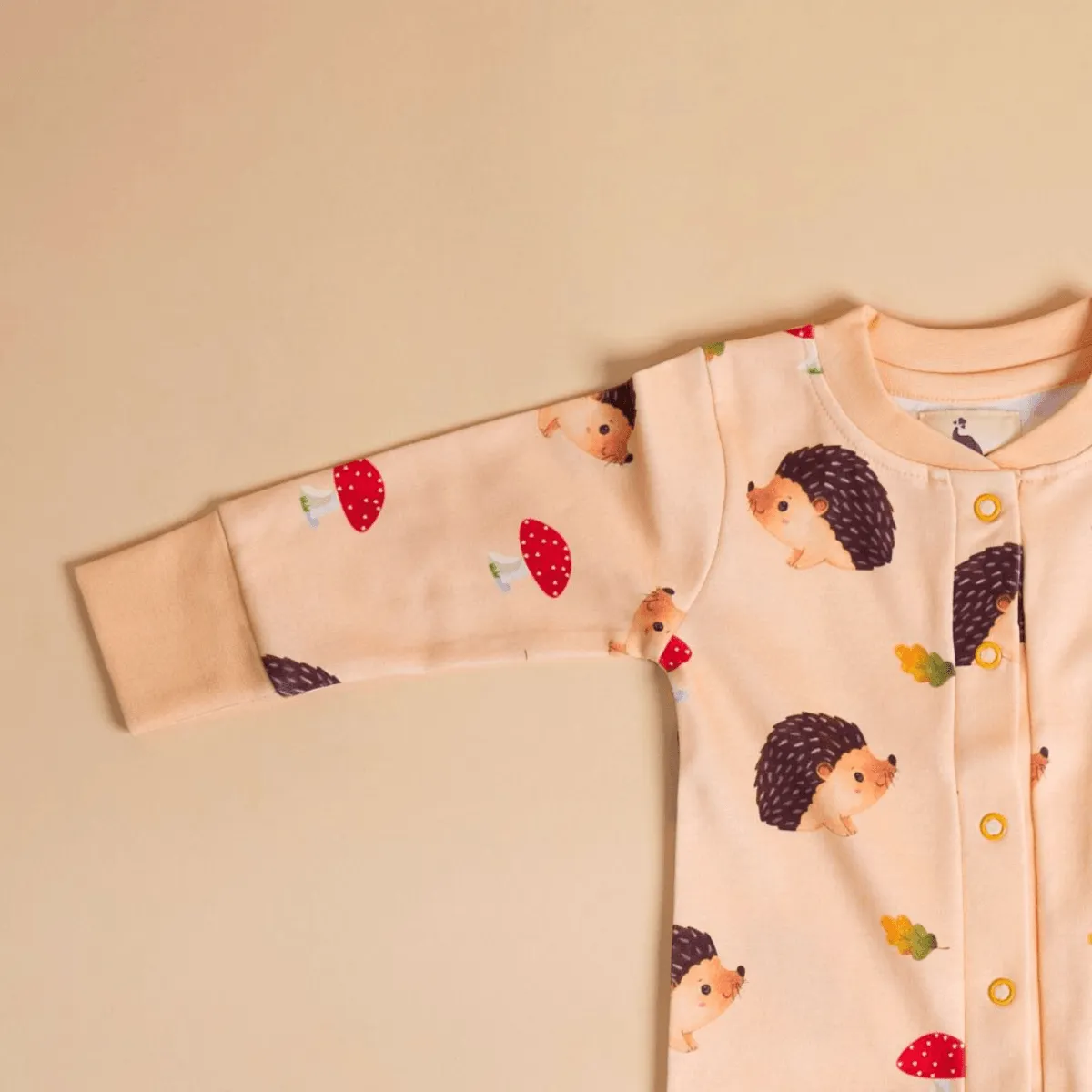 Hedgehog and Hearts - Onesie