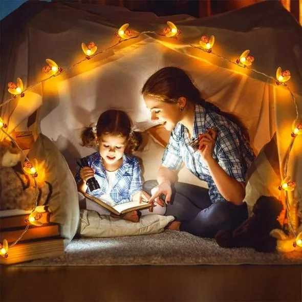 Honey Bee Fairy String Lights, Plug in String Lights 16 LED, 3 Meters Warm White Lights